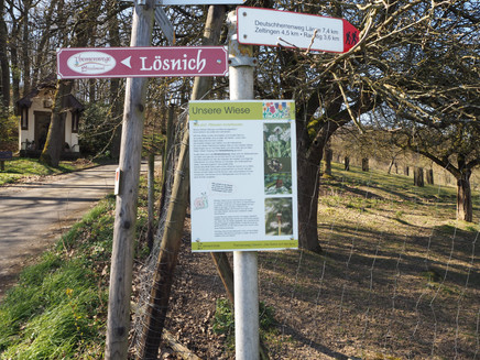 Information board about the meadow